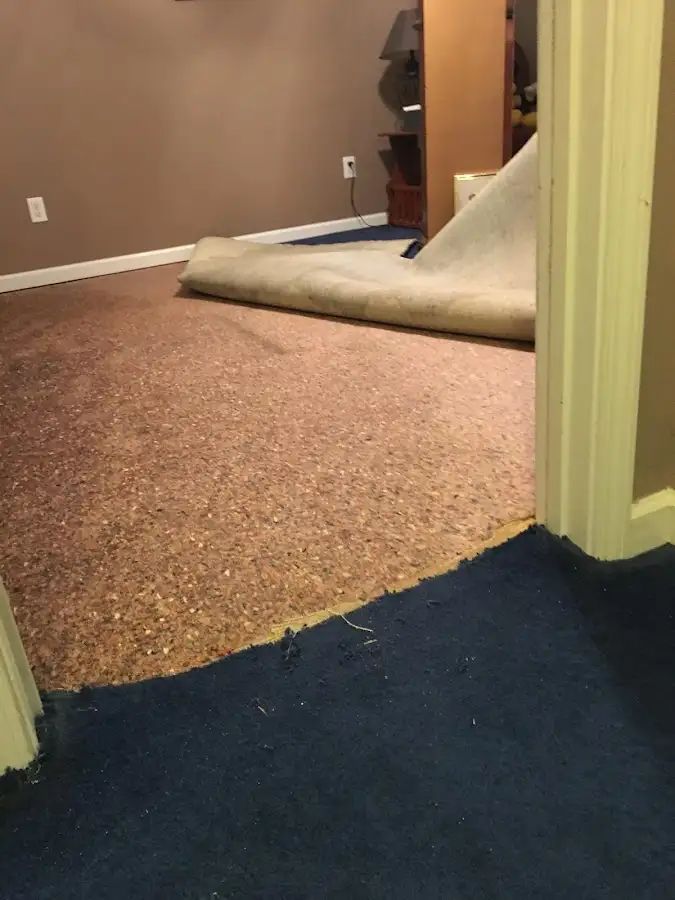 Carpet pad removal revealing water damage during Water Mitigation Services in Robinson