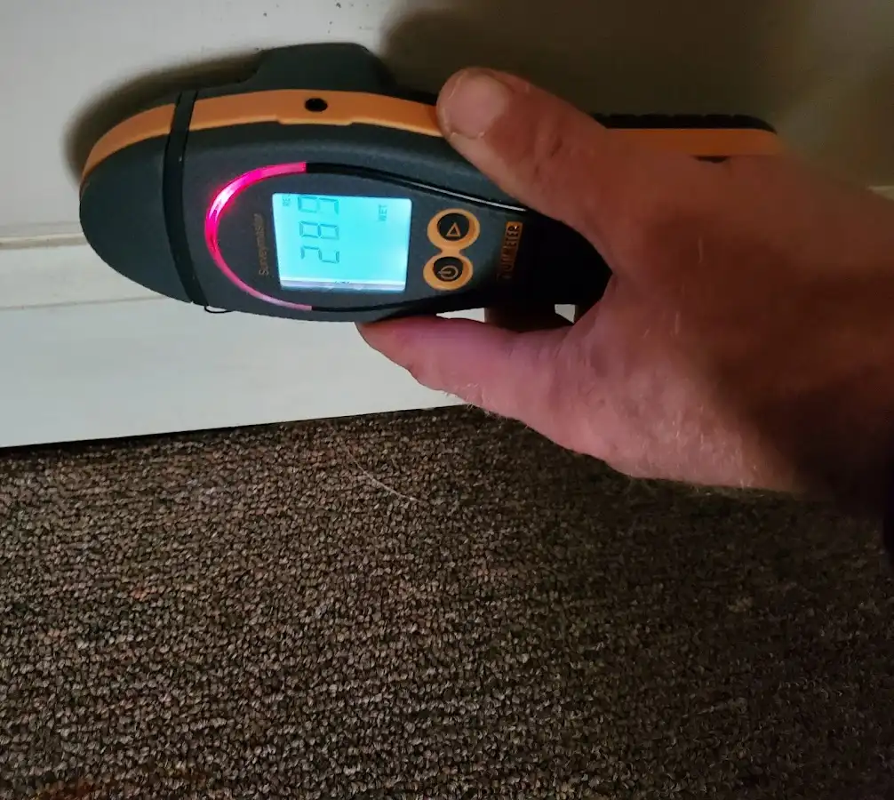 Moisture detection at baseboard during Burst Pipe Cleanup in Robinson